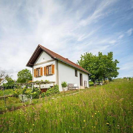 Weinlofts Weinloft I Villa Edlitz im Burgenland Bagian luar foto
