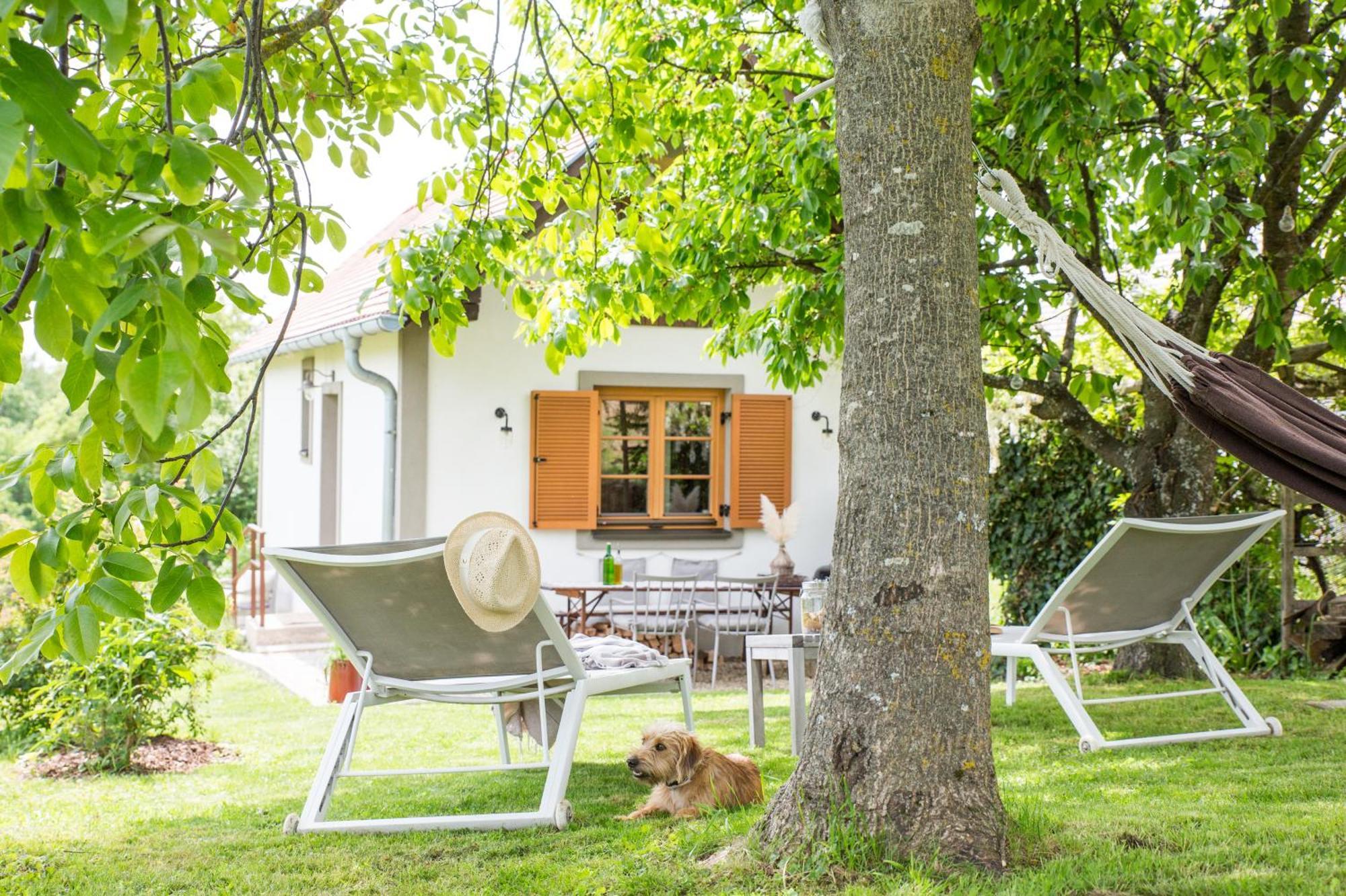 Weinlofts Weinloft I Villa Edlitz im Burgenland Bagian luar foto