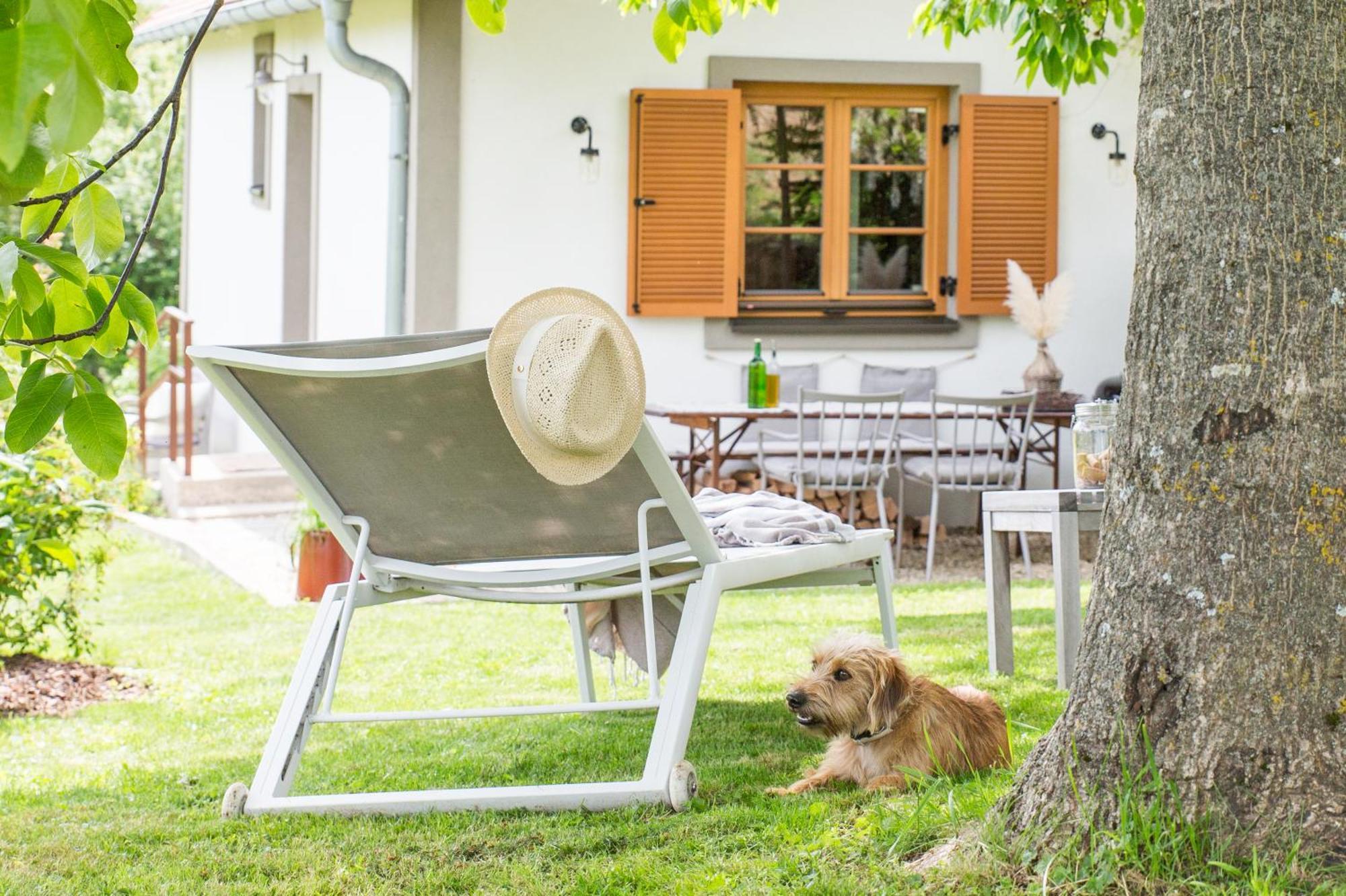 Weinlofts Weinloft I Villa Edlitz im Burgenland Bagian luar foto
